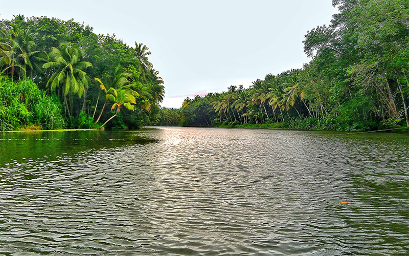 Thirparappu Falls in Kanyakumari