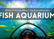 Kanyakumari Fish Aquarium
