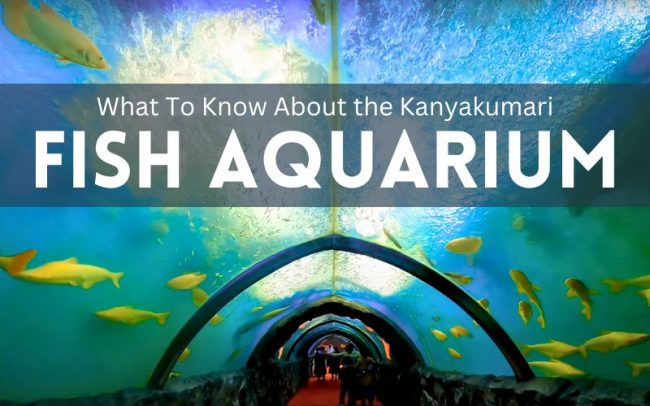 Kanyakumari Fish Aquarium Kanyakumari Fish Aquarium