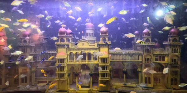 Underwater Fish Aquarium in Kanyakumari